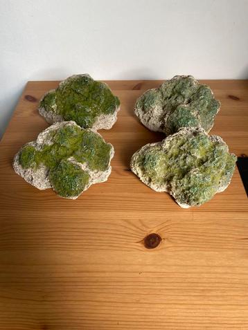 Aquarium decoratie beschikbaar voor biedingen