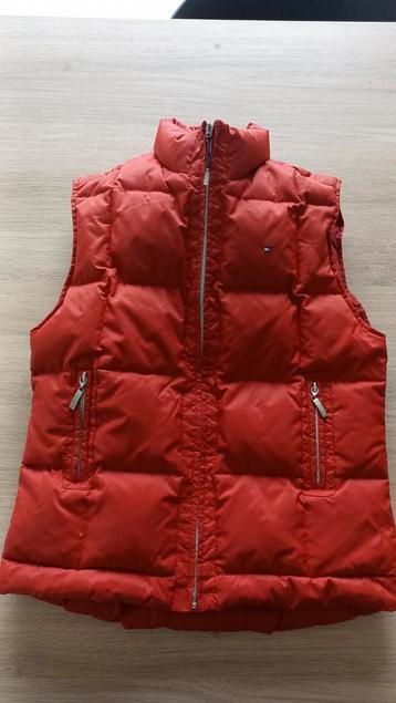 Bodywarmer Tommy Hilfiger maat 12 beschikbaar voor biedingen