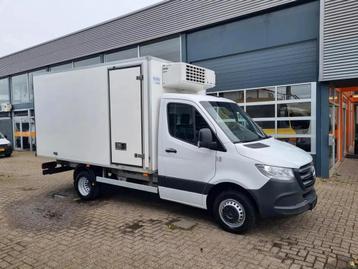 Mercedes-Benz Sprinter 516 CDI THERMOKING V500 MAX MT/ -20+2 beschikbaar voor biedingen