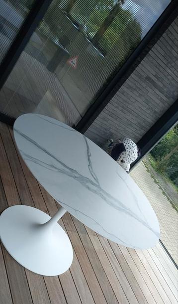 in extérieur céramique table tulipe  Eero Saarinen, Enlèvement ou Envoi, Comme neuf