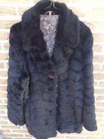 VESTE D'HIVER FEMME taille 44, Vêtements | Femmes, Enlèvement ou Envoi, Comme neuf, Taille 42/44 (L)