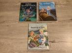 Disney Frozen verschillende voorleesboekjes, Boeken, Jongen of Meisje, Ophalen of Verzenden, Zo goed als nieuw, Voorleesboek