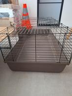 Konijk/caviahok, Dieren en Toebehoren, Gebruikt, Hamster, 75 tot 110 cm, Ophalen