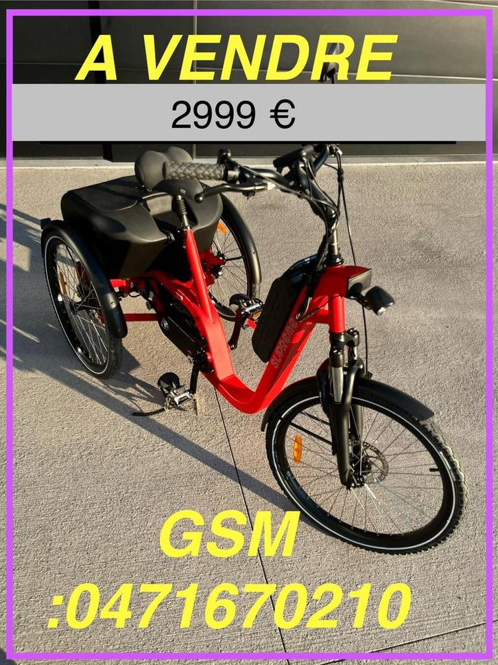 Tricycle de marque Damius « suprême «, Vélos & Vélomoteurs, Modes d'emploi & Notices d'utilisation, Comme neuf, Enlèvement