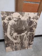 Eddy merckx, Ophalen of Verzenden