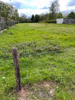 Prairie de 23 acres à louer avec abri Kapelle-op-den-Bos, Animaux & Accessoires, Box & Pâturages