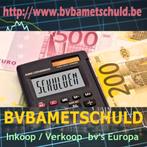 Het nieuwe jaar ZONDER SCHULDEN ?  Ruim NU op. Alleen  BV's