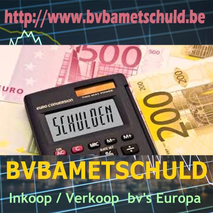 Het nieuwe jaar ZONDER SCHULDEN ?  Ruim NU op. Alleen  BV's, Articles professionnels, Exploitations & Reprises