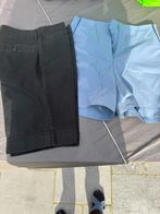 2 shorts - maat 40 & 42 -, Kleding | Dames, Ophalen of Verzenden, Gedragen, Maat 38/40 (M)