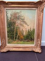 Schilderij van Oswald Poreau- 38cm op 46cm - goede staat, Ophalen