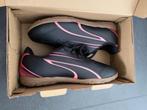 Indoor voetbalschoen Puma Black Fire Orchid, mt 35,5 (nieuw), Puma, Nieuw, Ophalen of Verzenden, Jongen of Meisje