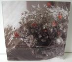 FOTO ACHTER PLEXIGLAS ZOMER BLOEMEN 30x30 cm Nieuw, Huis en Inrichting, Woonaccessoires | Schilderijen, Tekeningen en Foto's, Minder dan 50 cm