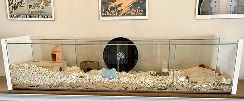 Groot hamsterhok incl. toebehoren, Dieren en Toebehoren, Knaagdieren en Konijnen | Hokken en Kooien, Gebruikt, Hok, Minder dan 60 cm