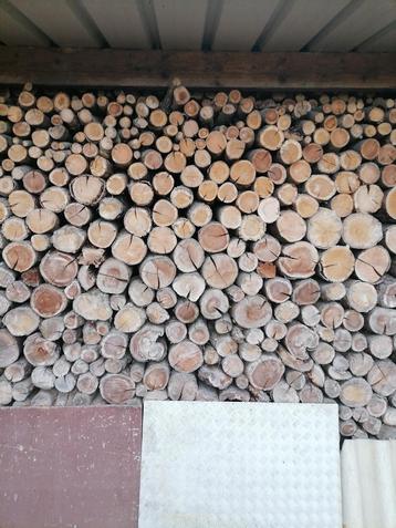 Brandhout eik en vogelkers. beschikbaar voor biedingen