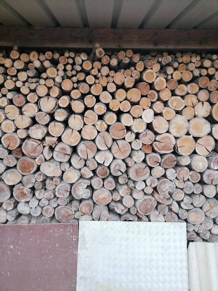 Brandhout eik en vogelkers., Tuin en Terras, Brandhout, Blokken, Eikenhout, 6 m³ of meer, Ophalen of Verzenden