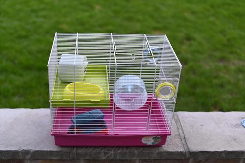 Hamsterkooi met veel accessoires, Animaux & Accessoires, Rongeurs & Lapins | Cages & Clapiers, Utilisé, Cage, Moins de 60 cm, Moins de 75 cm