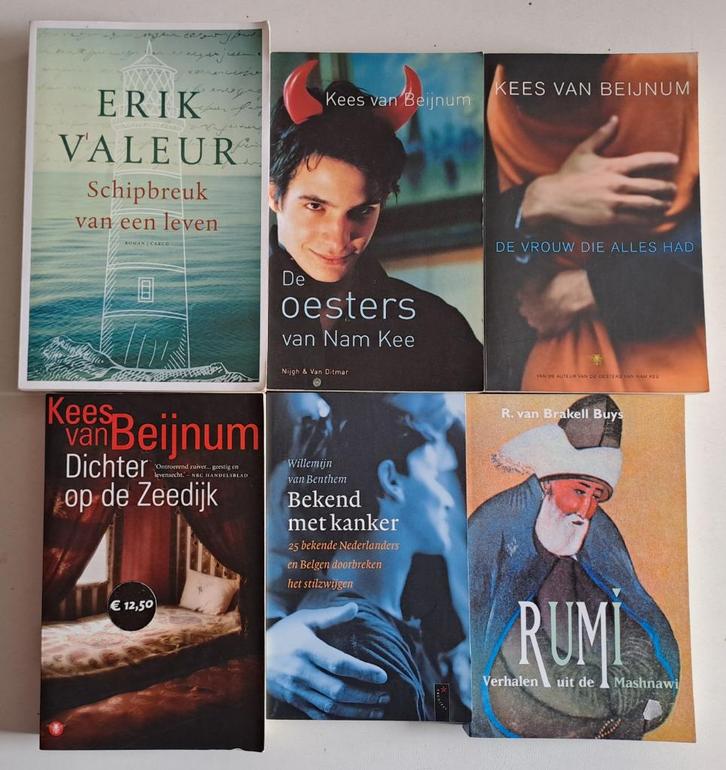 Romans & Literatuur (14), Boeken, Literatuur, Gelezen, Ophalen of Verzenden