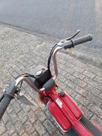 Vespa bravo neuve, Enlèvement