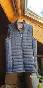 Blauwe bodywarmer , maat M, Vêtements | Femmes, Blousons sans Manches, Taille 38/40 (M), Enlèvement ou Envoi, Comme neuf, Bleu