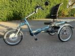 easy rider VAN RAAM driewielfiets met sterke motor, Fietsen en Brommers, Ophalen, Gebruikt, Minder dan 10 versnellingen, Overige merken