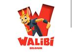 2 tickets voor walibi belgium, Tickets en Kaartjes