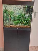 Juwel Lido 120 aquarium compleet + meubilair, Dieren en Toebehoren, Ophalen, Gebruikt, Gevuld zoetwateraquarium