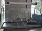 Aquarium tortue, Animaux & Accessoires, Enlèvement, Comme neuf