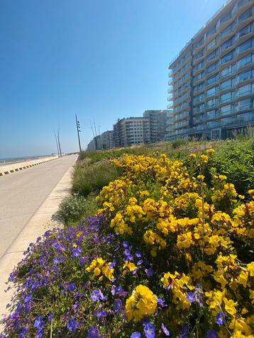Rustig, mooi appartement Zeedijk Westende beschikbaar voor biedingen