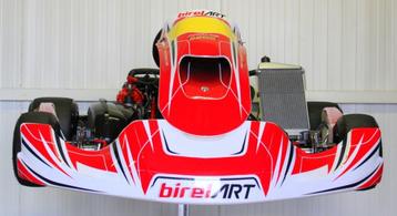 Birel Kart met Rotax DD2 Motor, Enlèvement, Comme neuf, Kart