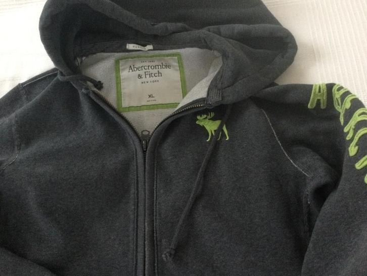 Hoodie grijs met groene letters ABERCROMBIE & Fitch  XL, Vêtements | Hommes, Pulls & Vestes, Comme neuf, Taille 56/58 (XL), Gris