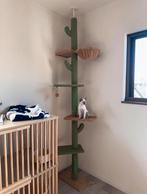 Katten toren, Dieren en Toebehoren, Ophalen