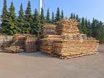 brandhout, Tuin en Terras, 6 m³ of meer, Ophalen of Verzenden, Overige houtsoorten, Blokken