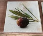 Glasplaat 30x30 cm 3stuks, Antiek en Kunst, Ophalen