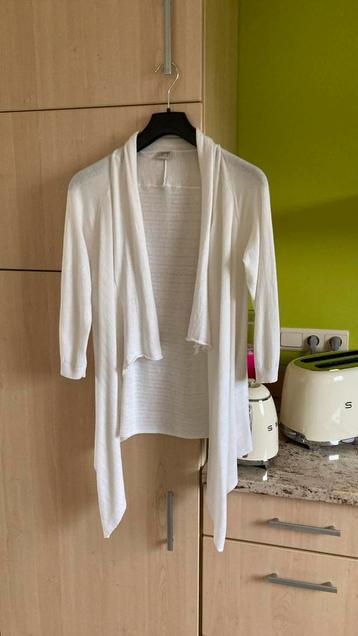 Gilet esprit beschikbaar voor biedingen