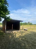 Weide met schuilstal te huur Borsbeek, Dieren en Toebehoren, Stalling en Weidegang, Weidegang