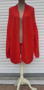 Mooie rode vest/trui "MS mode" - Maat XL - NIEUW !!, Ophalen of Verzenden, Nieuw, Rood, Trui of Vest