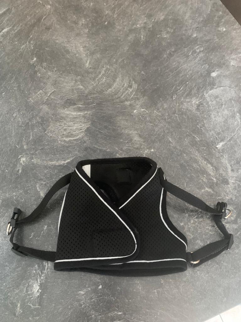 Harnais petit chien, Animaux & Accessoires, Accessoires pour chiens, Enlèvement, Comme neuf