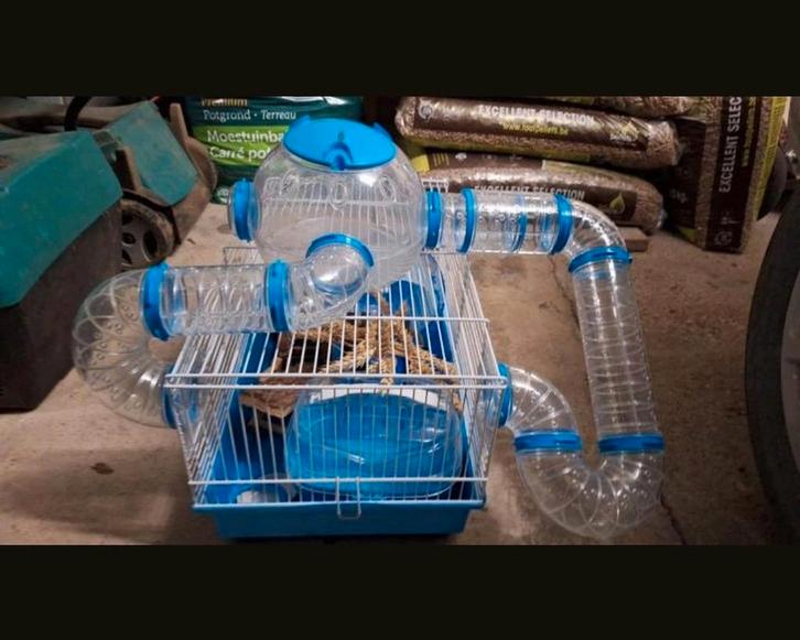 Hamster/muizen kooi met toebehoren (starterset), Dieren en Toebehoren, Knaagdieren en Konijnen | Hokken en Kooien, Kooi, Hamster