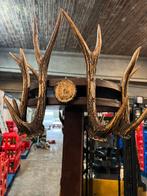 Kapstok van gewei van hert hoogte 190cm, Huis en Inrichting, Ophalen, Gebruikt