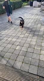 Getrommelde betonklinkers - GRATIS, Tuin en Terras, Ophalen, Gebruikt, Klinkers, 10 m² of meer