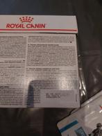 Kattenvoer Hypoallergenic, Animaux & Accessoires, Nourriture pour Animaux, Enlèvement, Chat