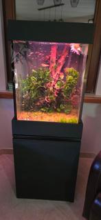 Te koop aquarium op maat gemaakt met techniek:, Dieren en Toebehoren, Vissen | Aquaria en Toebehoren, Ophalen, Gebruikt, Leeg aquarium