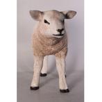 Texelaar Lam – Schaap beeld Lengte 58 cm, Ophalen, Nieuw