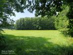 Weiland met houtwal. Grote 7000m2, Immo, Gronden en Bouwgronden, Herenthout, Verkoop zonder makelaar, 1500 m² of meer