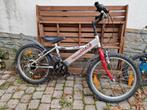 20 inch fiets, Fietsen en Brommers, Ophalen, Gebruikt