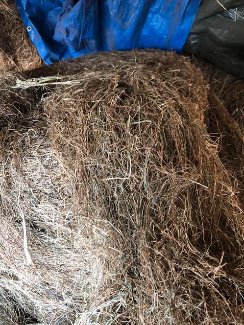 Gezocht voordroog voor paarden, Dieren en Toebehoren, Dierenvoeding, Ophalen