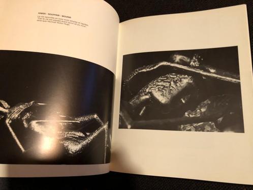 Kunstboek Amilcar Zannoni - Andre Flament, Boeken, Kunst en Cultuur | Beeldend, Gelezen, Overige onderwerpen, Ophalen of Verzenden