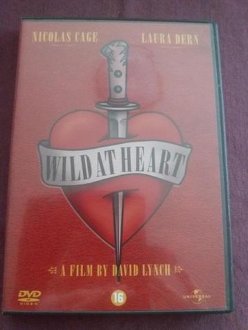 Wild at Heart (David Lynch) 1990, À partir de 16 ans, Enlèvement, Comme neuf