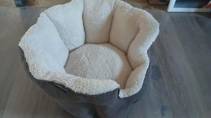 Mandje voor kat of kleine hond, Dieren en Toebehoren, Hondenmanden, Zo goed als nieuw, Ophalen