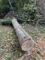 Brandhout omgewaaide eik, Tuin en Terras, Brandhout, Minder dan 3 m³, Ophalen, Eikenhout, Blokken